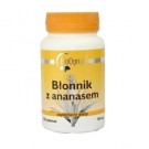 Błonnik z ananasem x 100tabl.