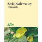 Zioła Kwiat Dziewanny x 50g