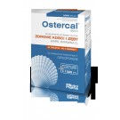Ostercal 1250 D x 90tabl.
