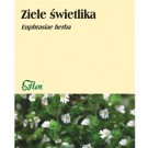 Świetlik fix x 30 toreb.